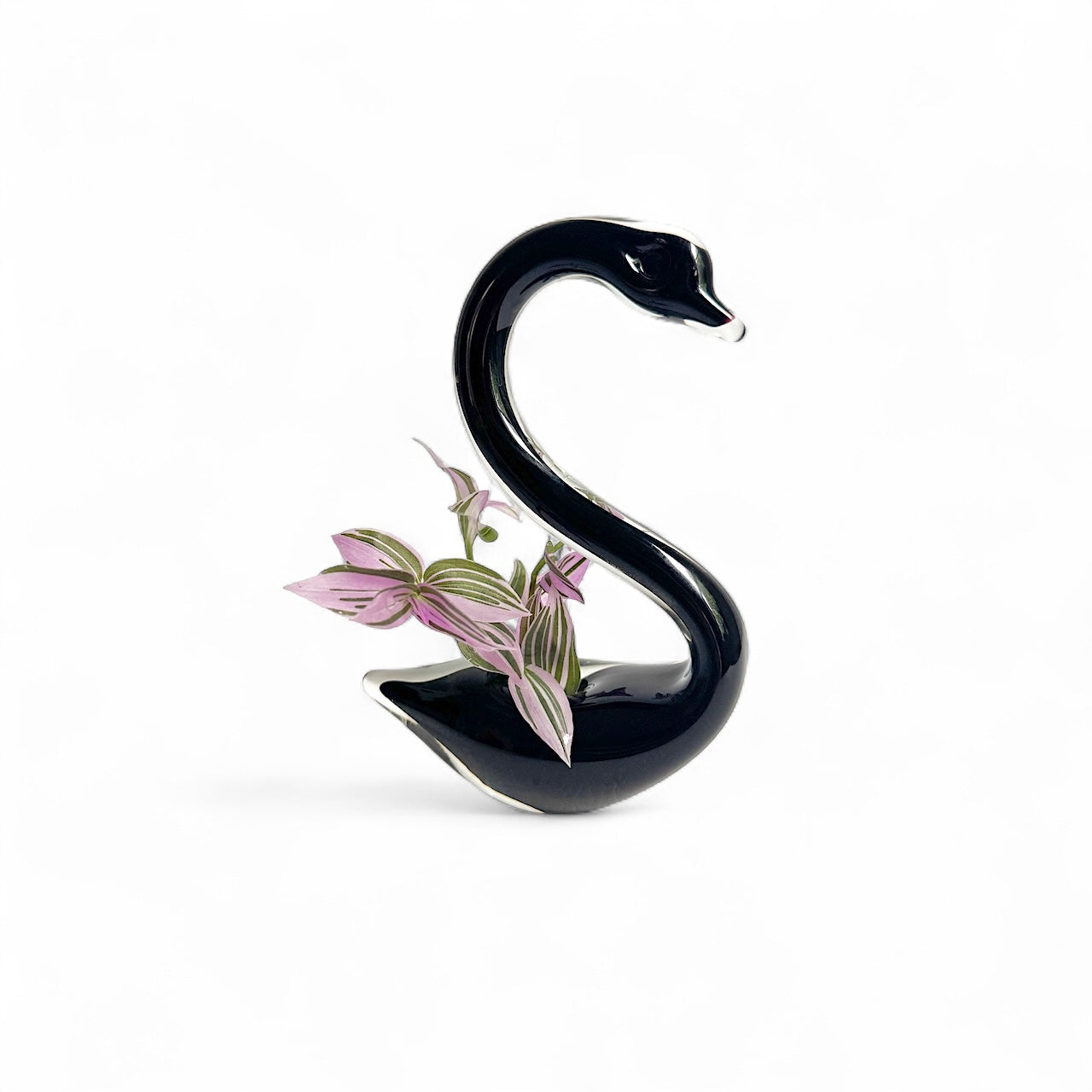 Black Swan
