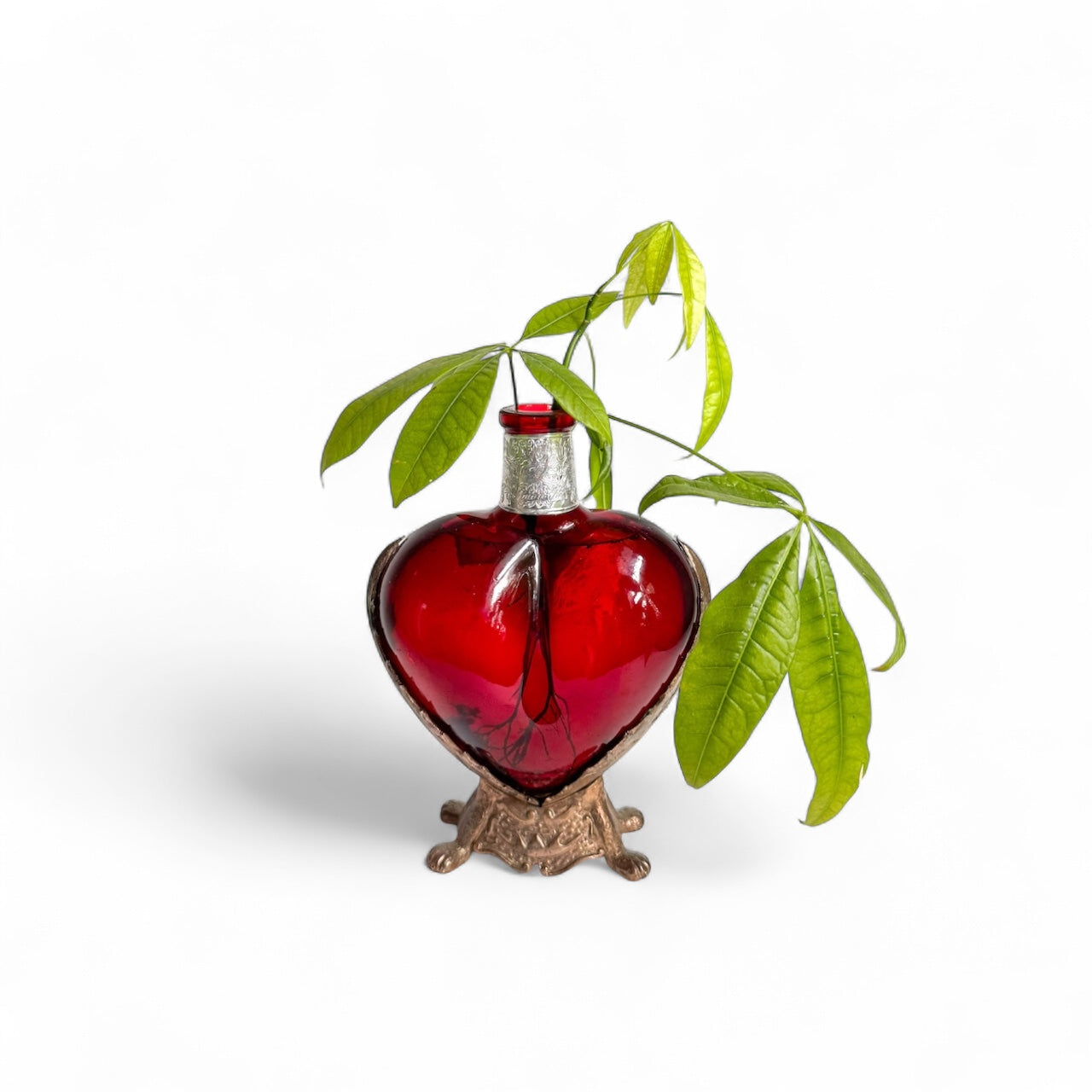 Armor Of Love