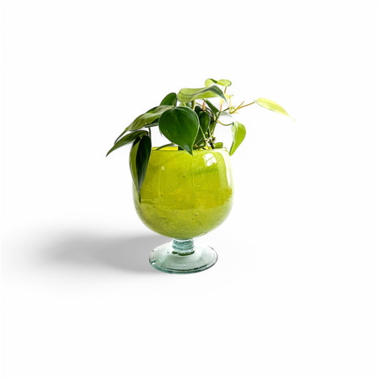 Margaritaville