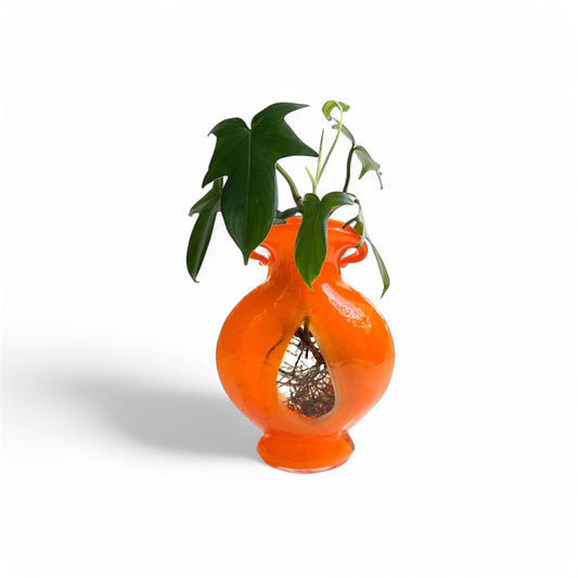 Florida Orange