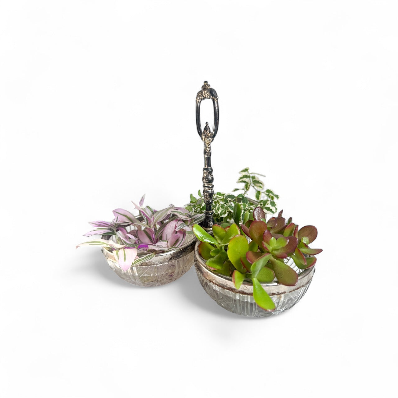 Trio Tray