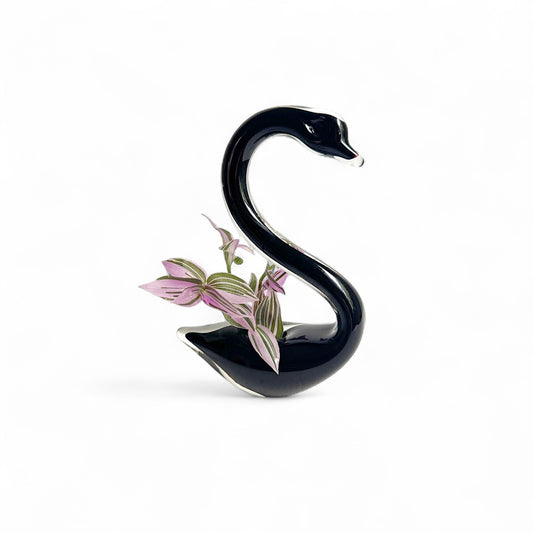 Black Swan
