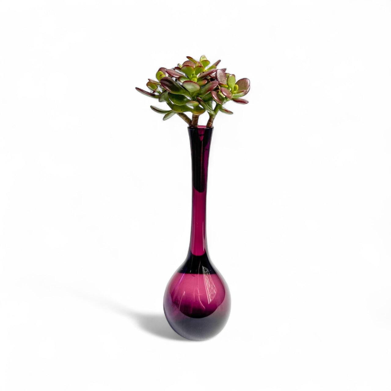 Purple Experiment – Reclaimed Roots