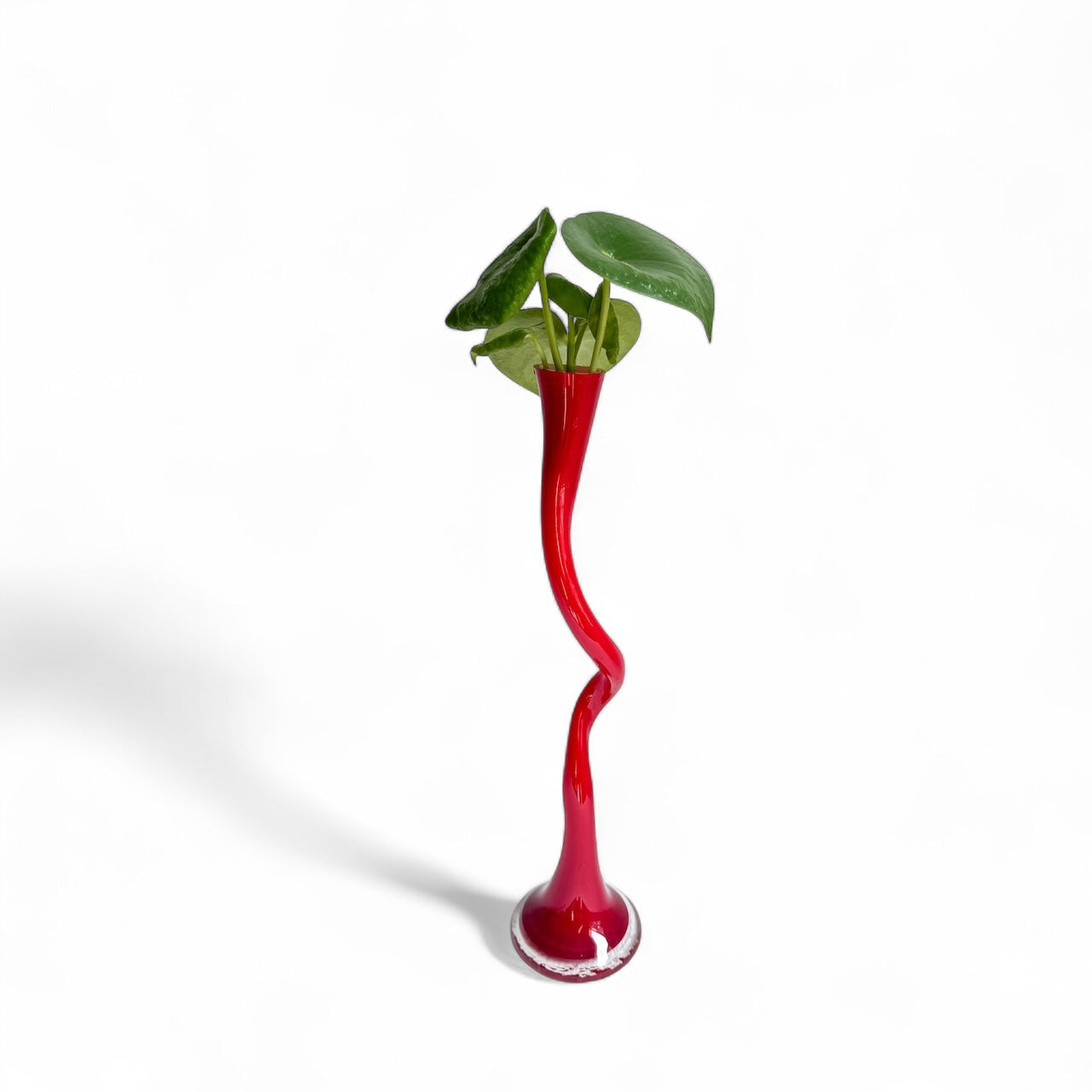 Maraschino Stem