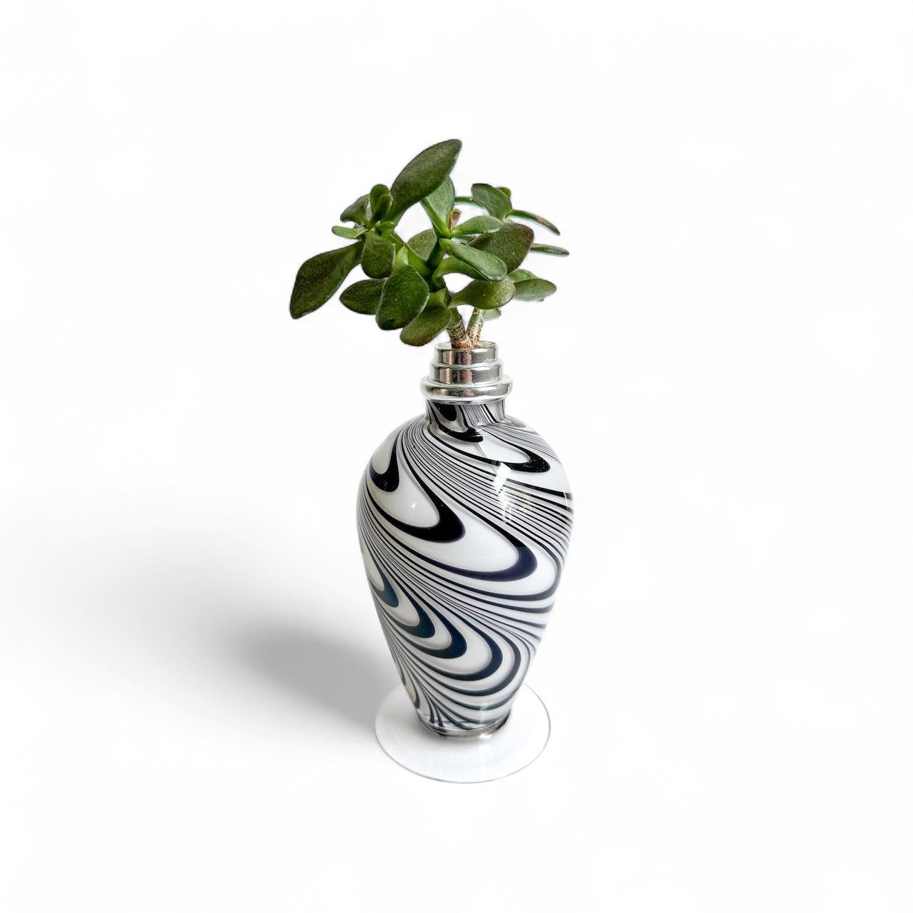 Hypnotize – Reclaimed Roots