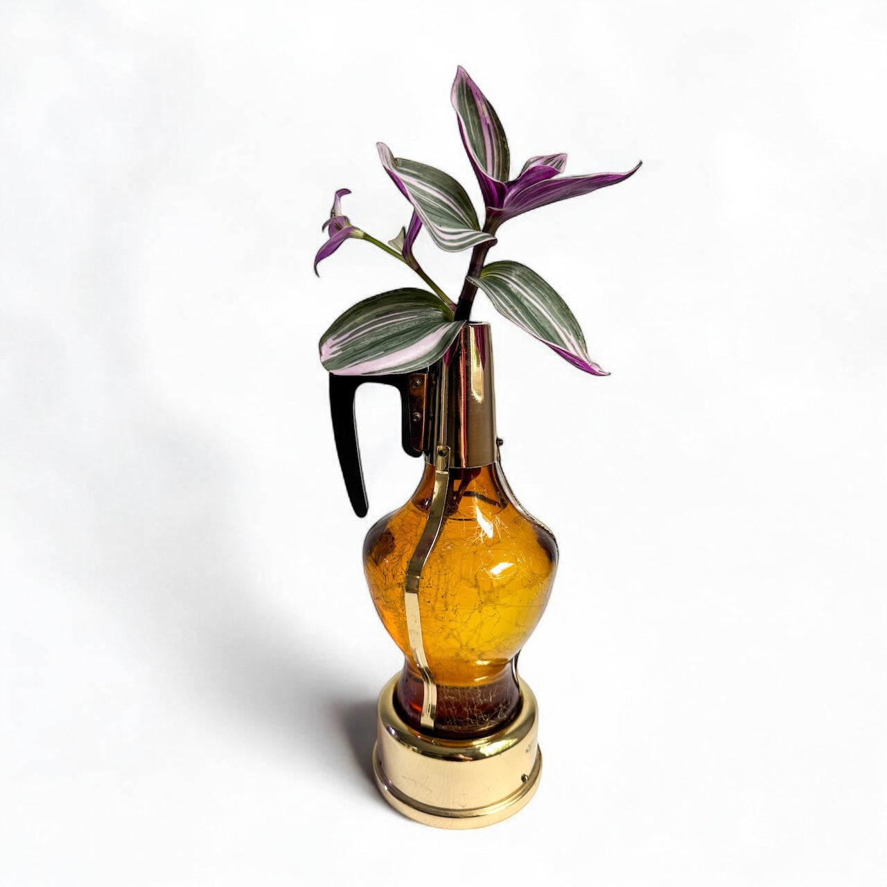 Music Notes – Reclaimed Roots