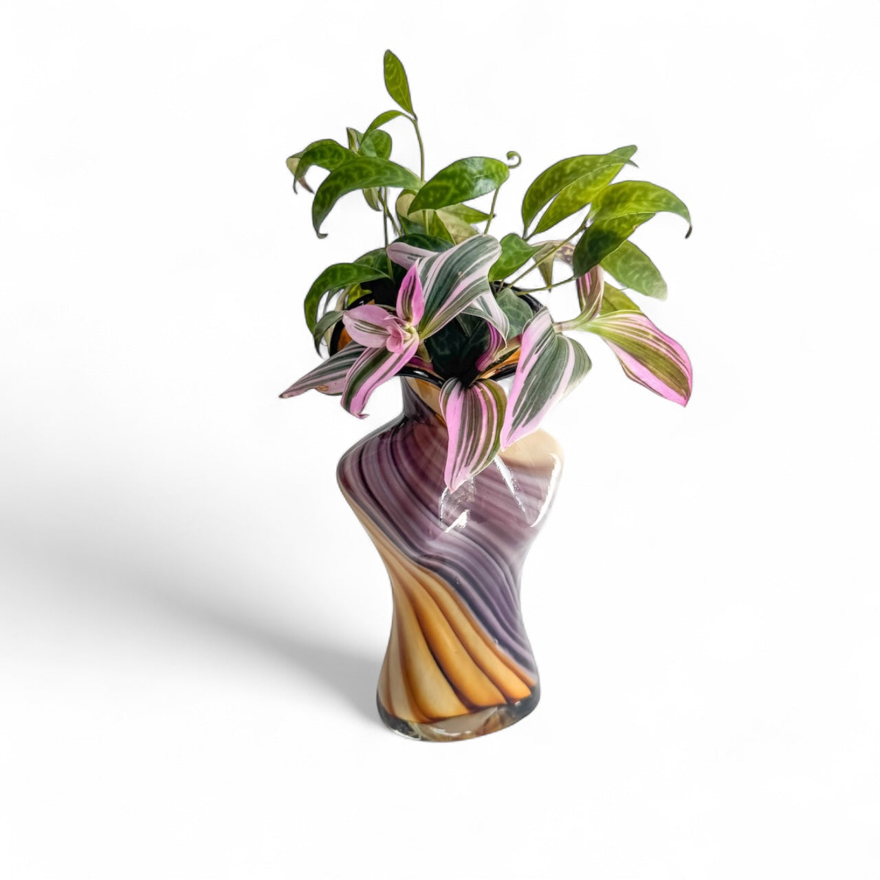 Silhouette – Reclaimed Roots